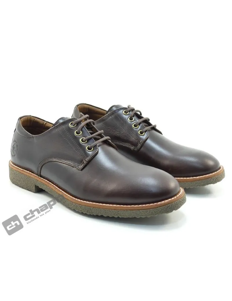 Blucher Marron Panama Jack Gante C2