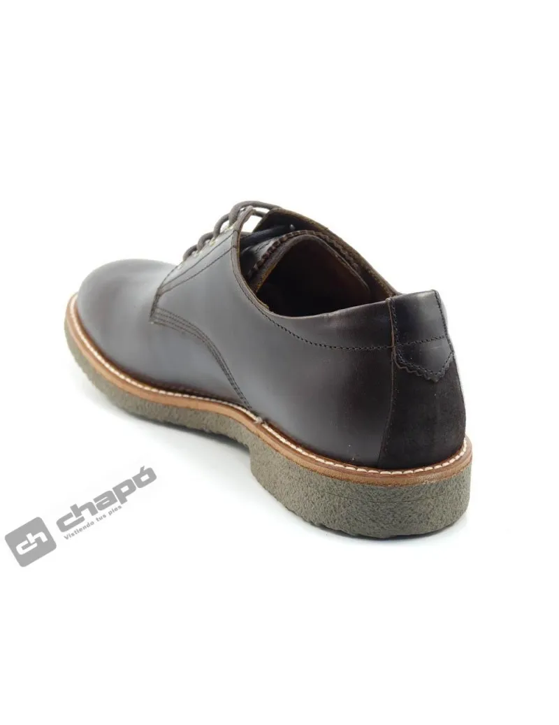 Blucher Marron Panama Jack Gante C2