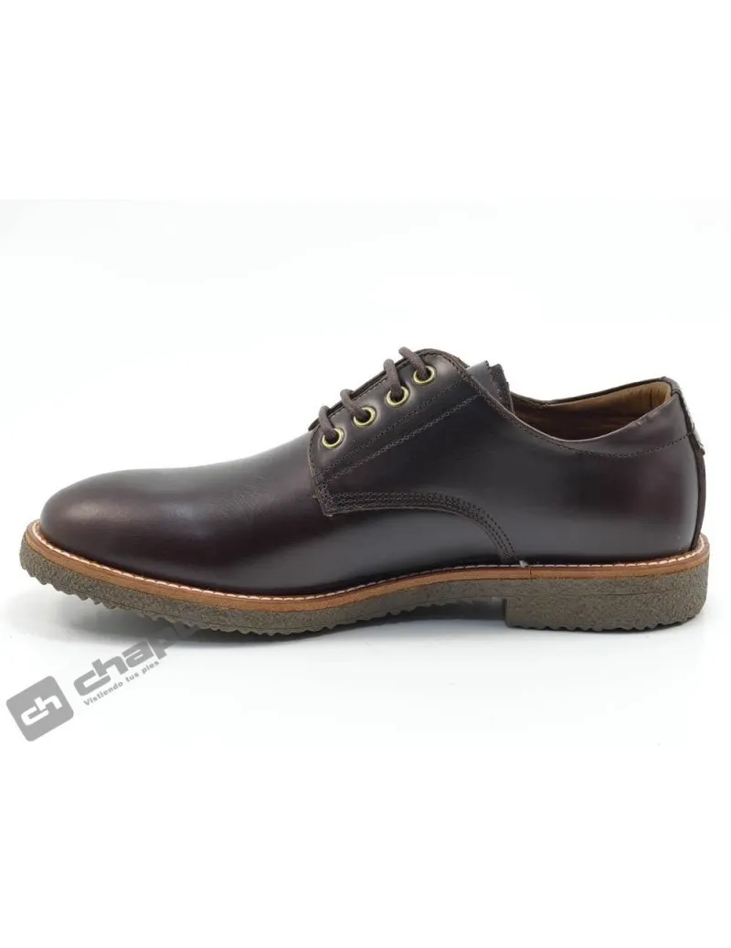 Blucher Marron Panama Jack Gante C2