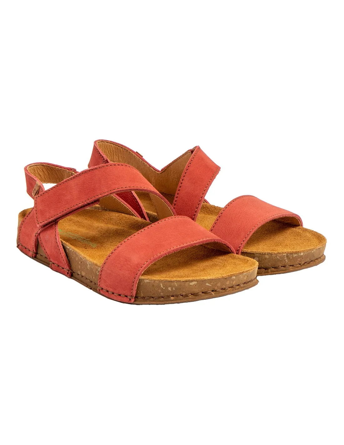 El Naturalista N5791  Balance