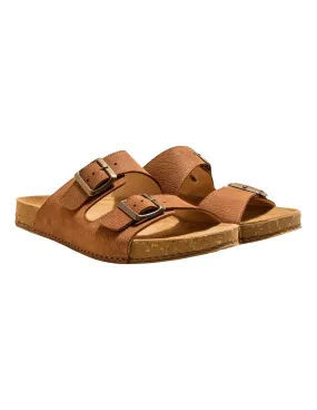 El Naturalista N5794  Balance