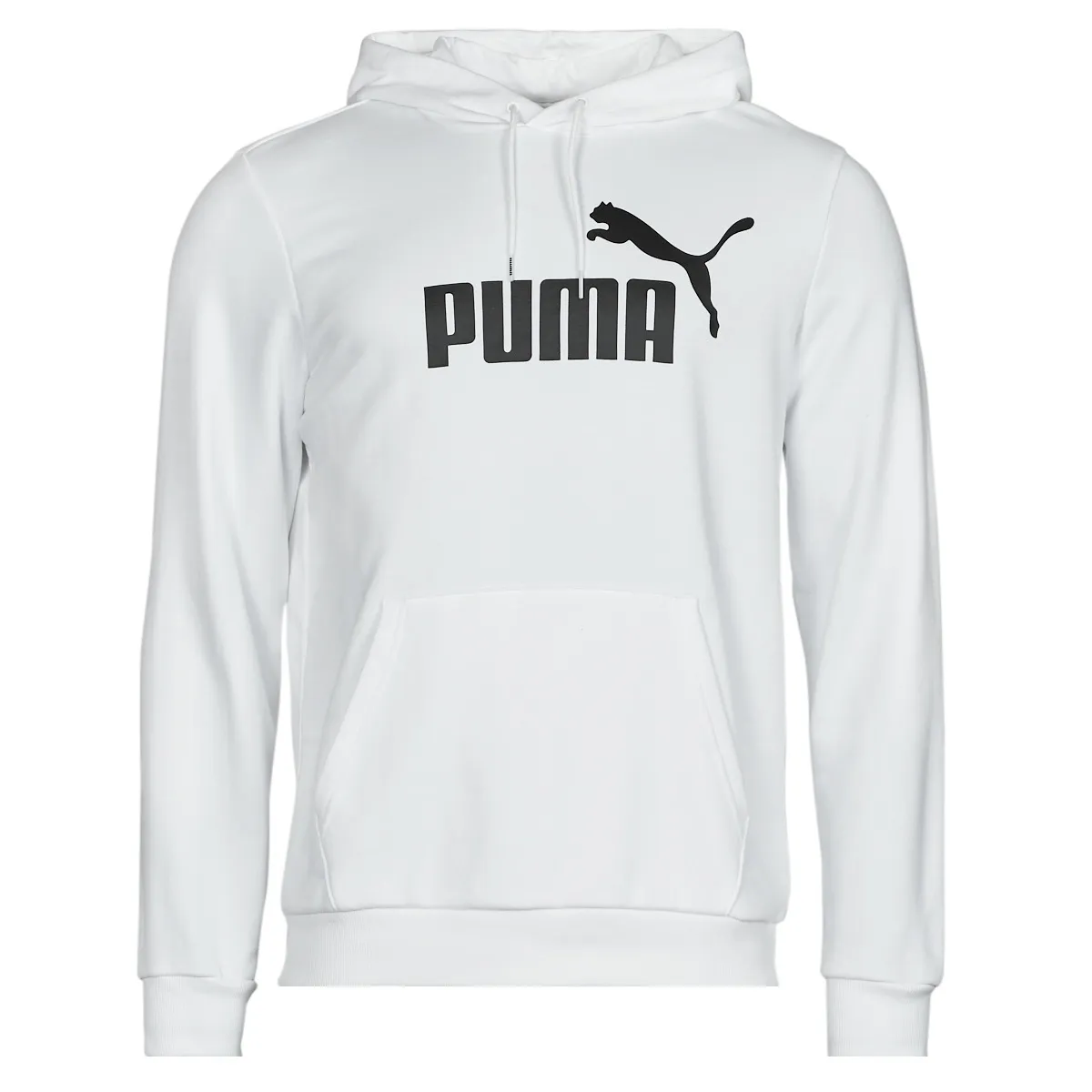 ESS BIG LOGO HOODIE FL