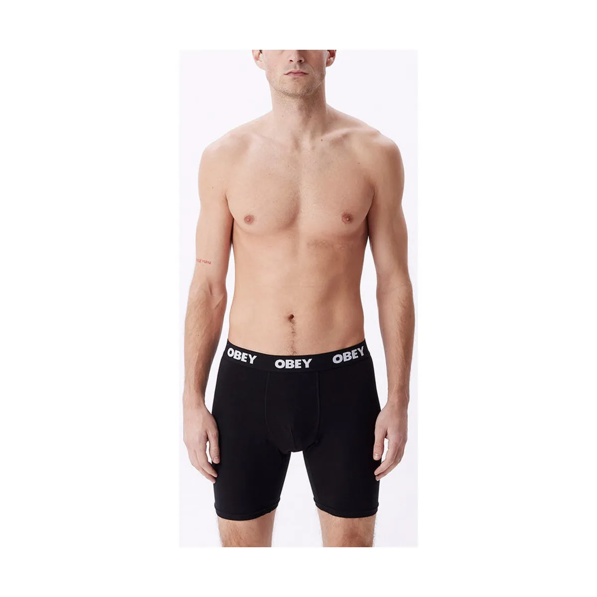 Established work 2 pack boxers