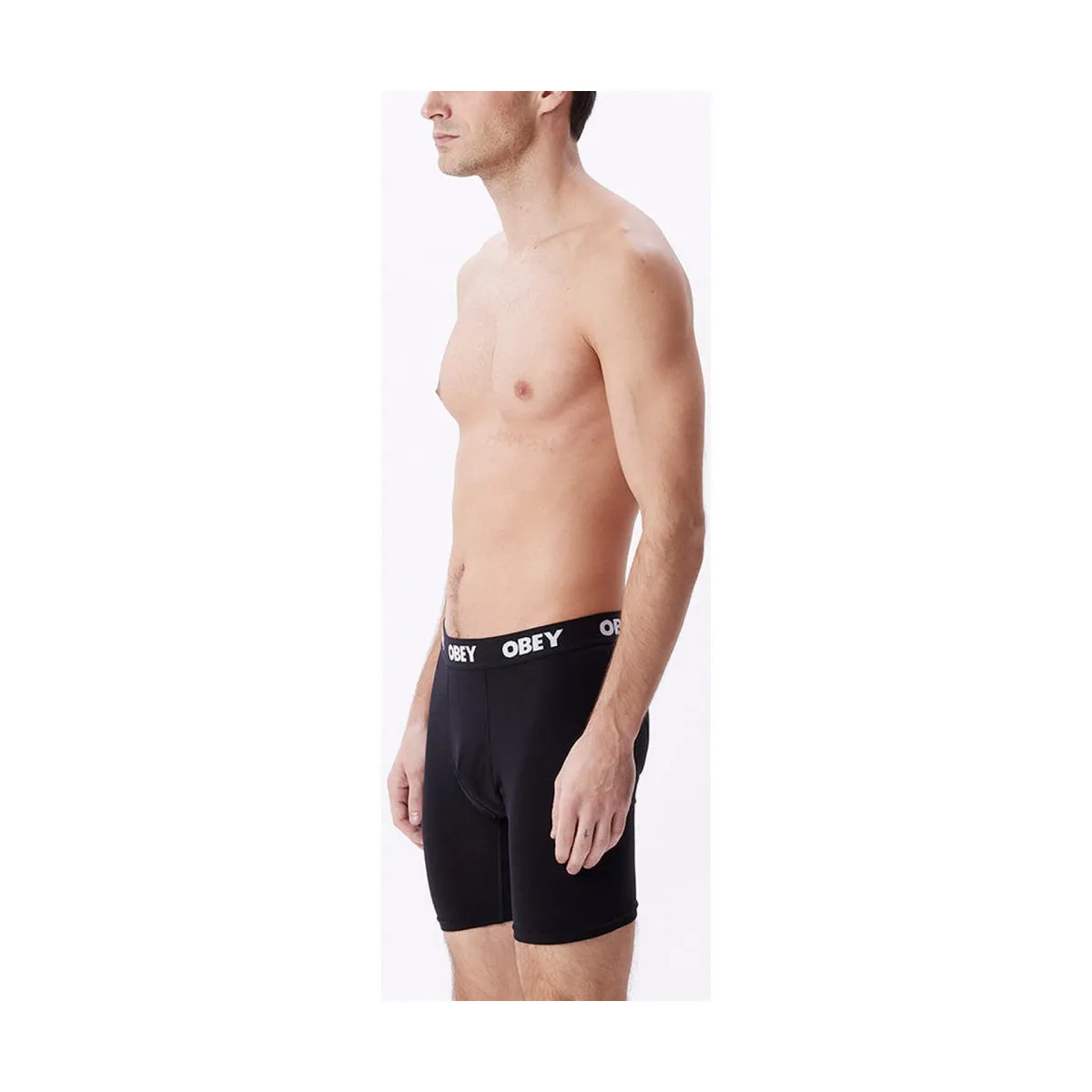 Established work 2 pack boxers
