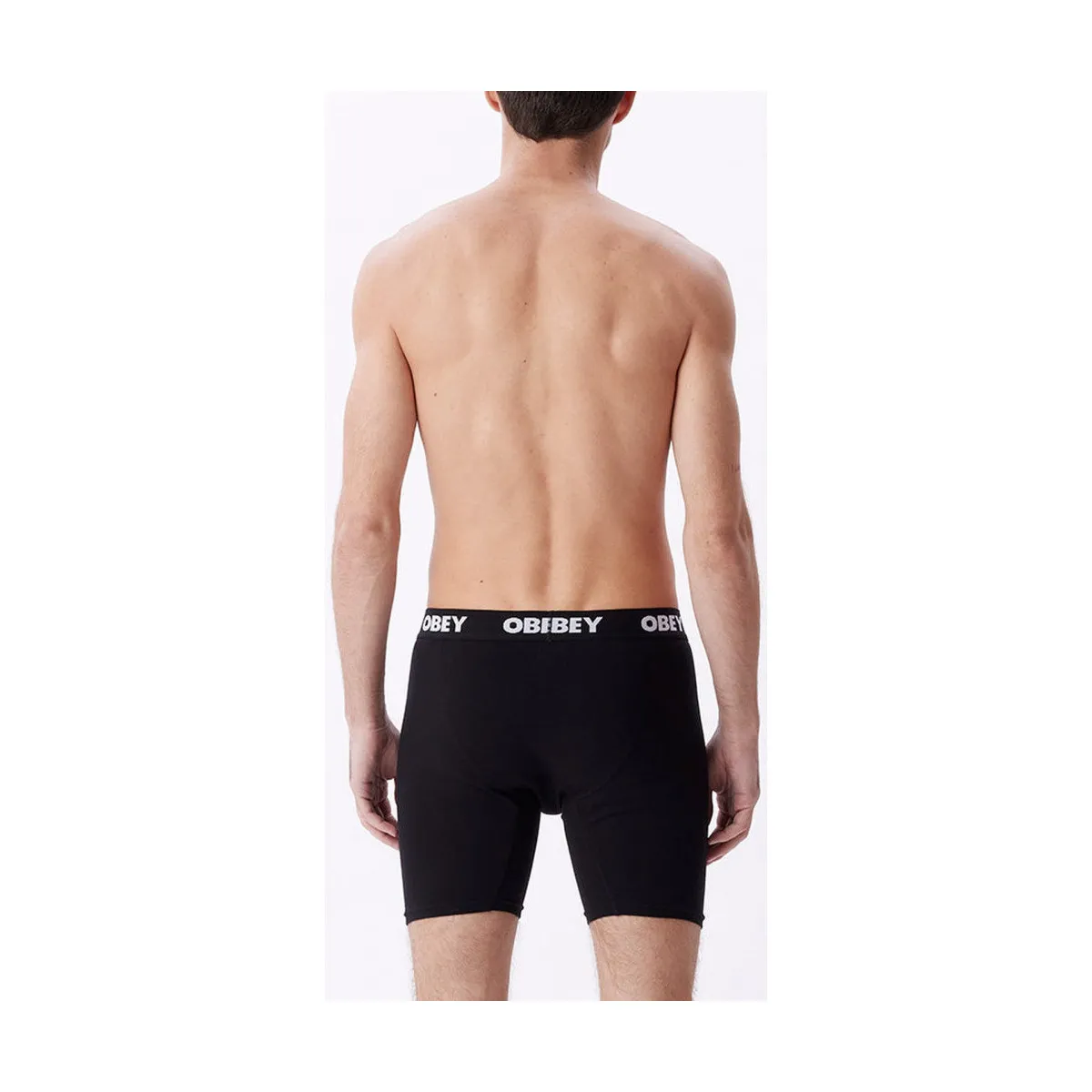 Established work 2 pack boxers