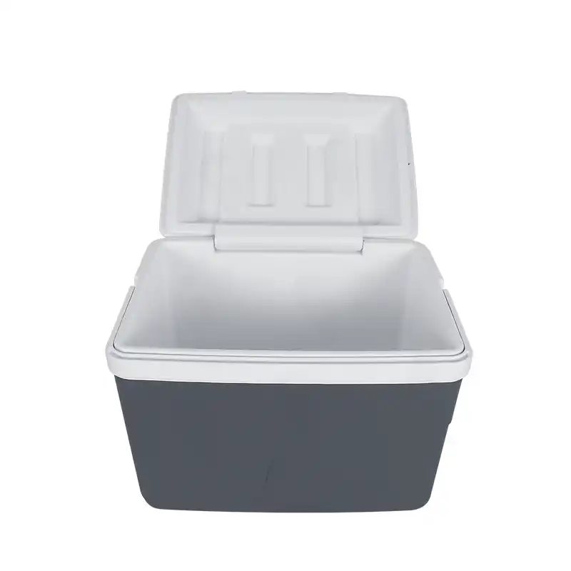 HIELERA NEVERA PORTáTIL 22 LTS ESTRA 41047801 GRIS