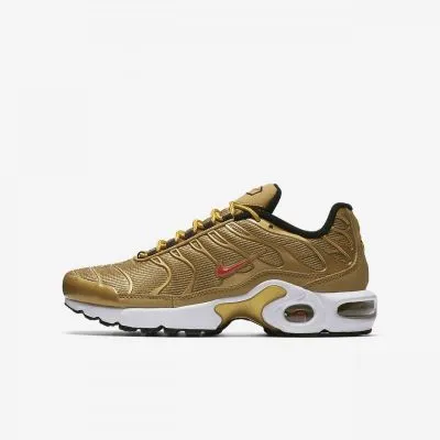 Nike Air Max Plus TN SE