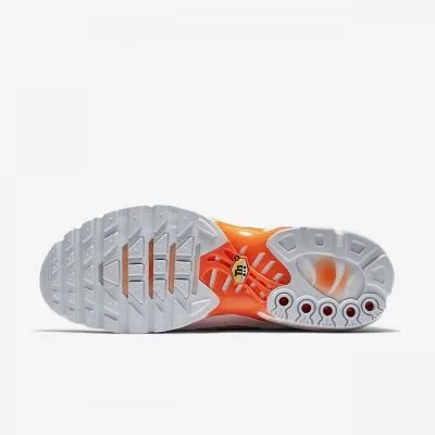 Nike Air Max Plus TN SE