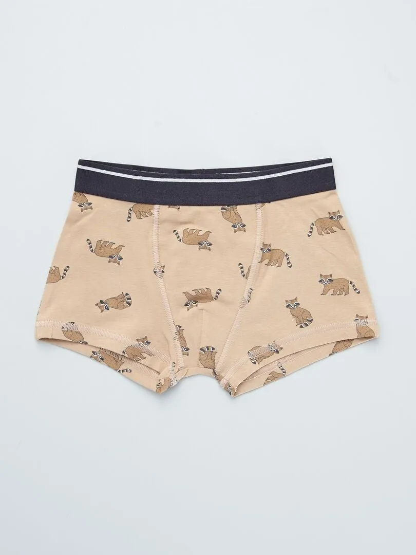 PACK DE 3 BOXERS  MARRON