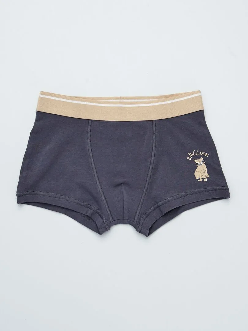 PACK DE 3 BOXERS  MARRON