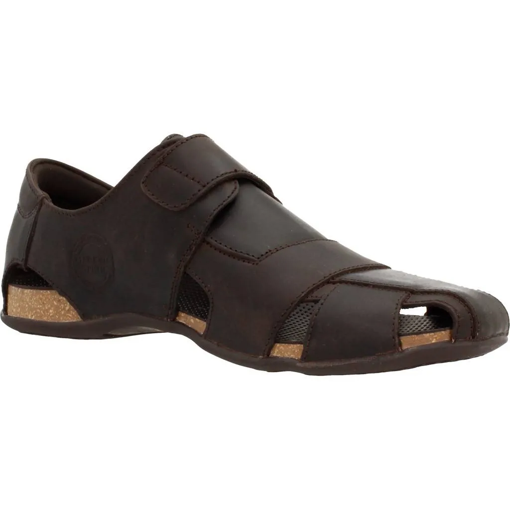 PANAMA JACK FLETCHER BASICS C2