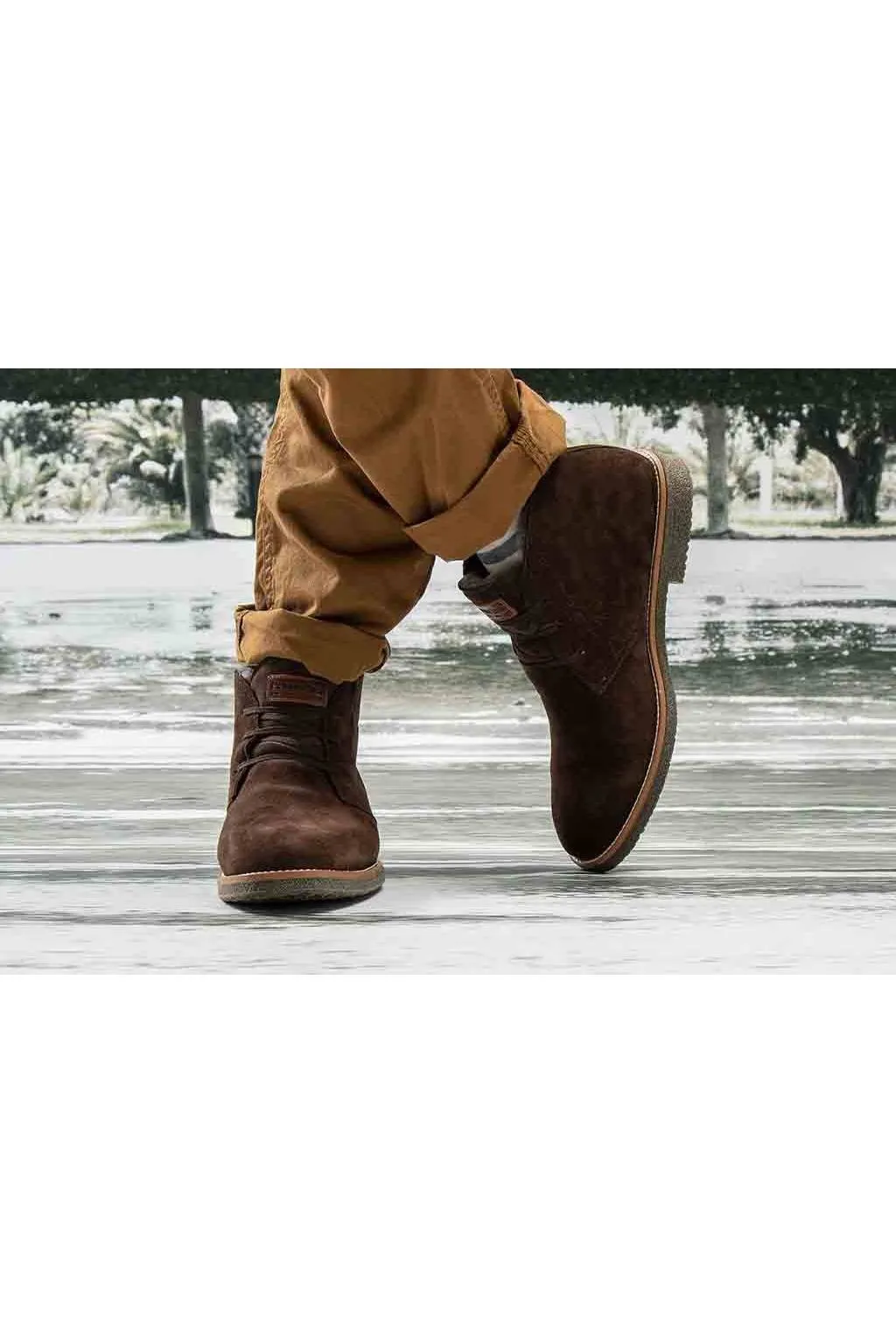 Panama Jack Gunter Igloo C3 Velour