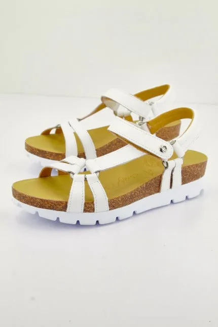 PANAMA JACK SALLY BASICSB1
