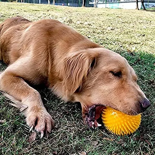 Pelota Para Perros Erizo Con Sonido 6 Cm Verde