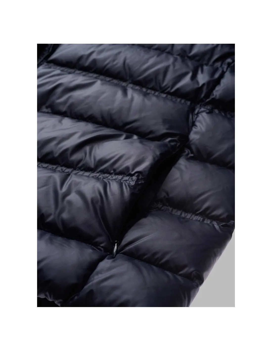 Plumas Seth Blue