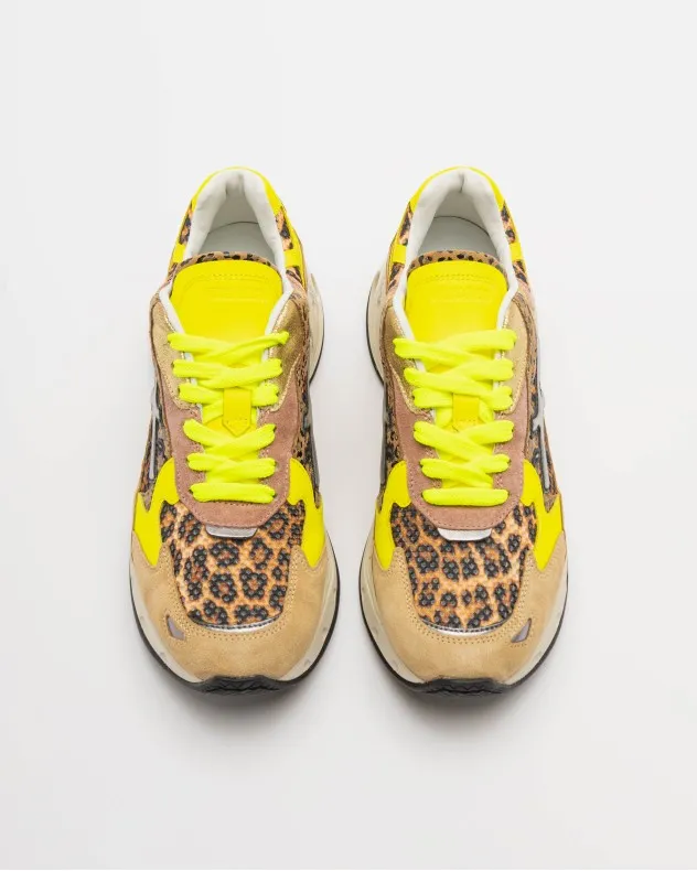 Zapatillas Premiata SHARKYD 365 Multicolor